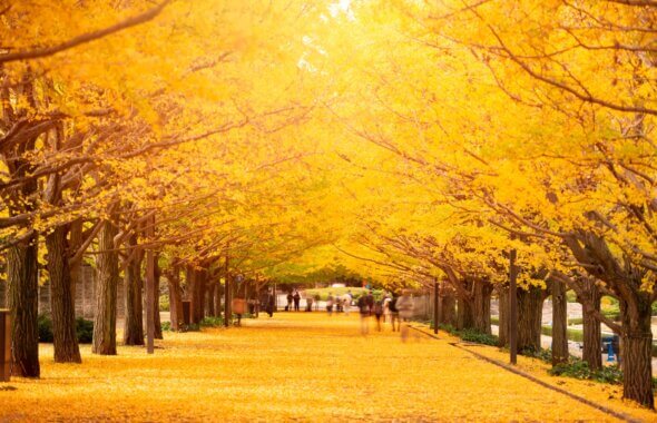 【11月】忙しくても頑張る女性のための美容健康法