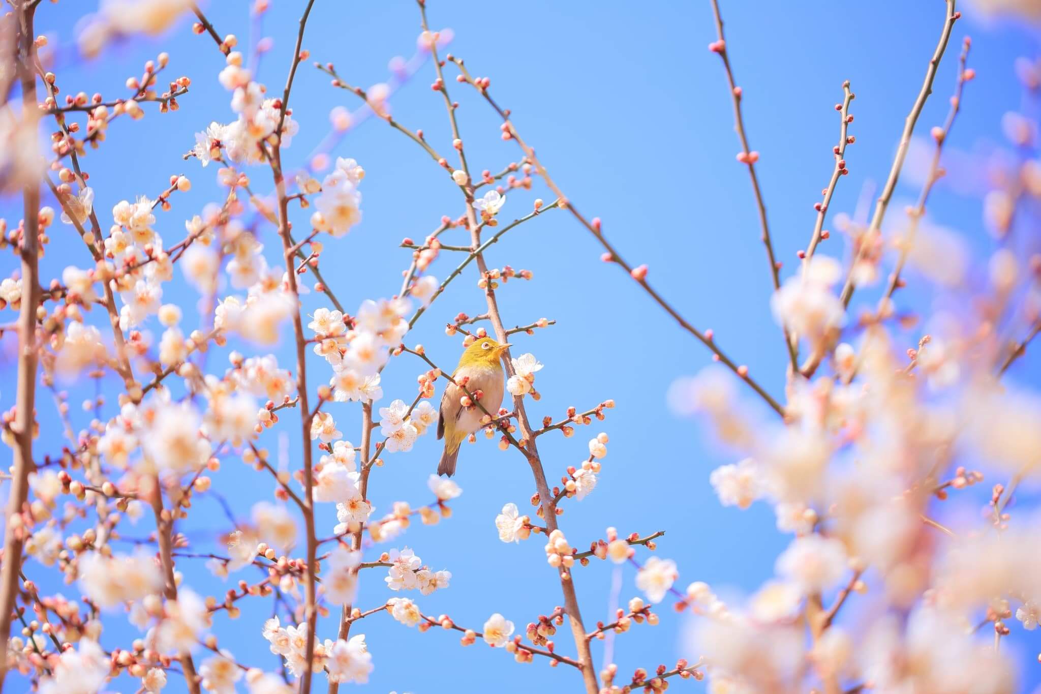 【2月】忙しくても頑張る女性のための美容健康法