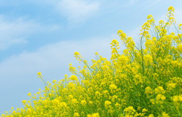 【3月】忙しくても頑張る女性のための美容健康法